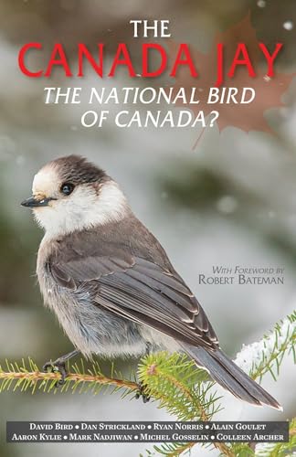 Stock image for The Canada Jay: The National Bird of Canada? for sale by ThriftBooks-Dallas