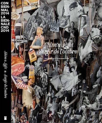 Beispielbild fr Shine a Light: Canadian Biennial 2014 (English and French Edition) zum Verkauf von bmyguest books