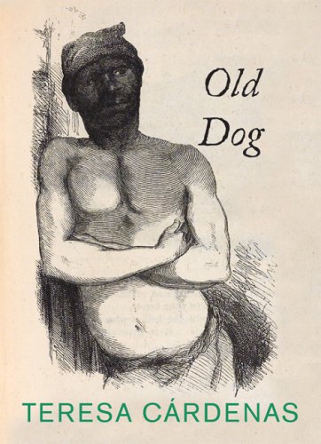 Old Dog - Cardenas, Teresa