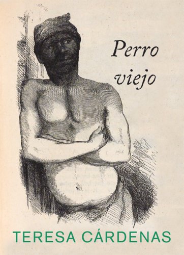 Beispielbild fr Perro Viejo (Spanish Edition) zum Verkauf von GF Books, Inc.
