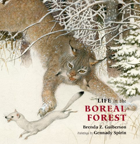 Beispielbild fr Life in the Boreal Forest zum Verkauf von Better World Books