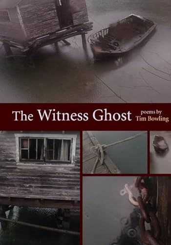 Stock image for The Witness Ghost for sale by Montreal Books