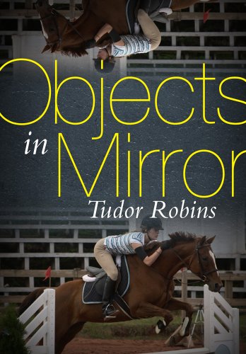 9780889954977: Objects in Mirror