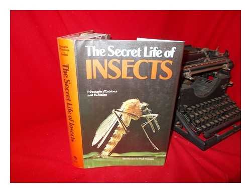 Imagen de archivo de The Secret Life Of Insects a la venta por Novel Ideas Books & Gifts