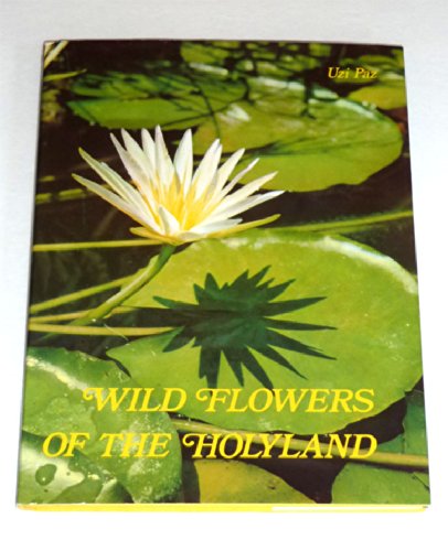 Wildflowers of the Holyland