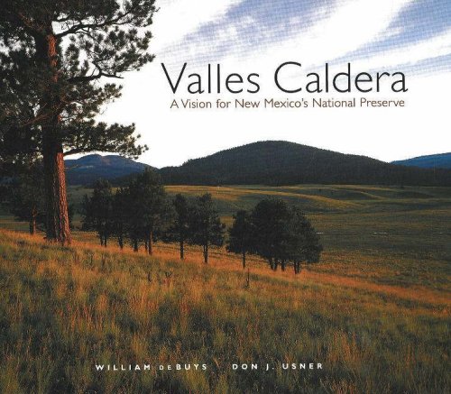 Stock image for Valles Caldera: A Vision for New Mexico's National Preserve for sale by SecondSale