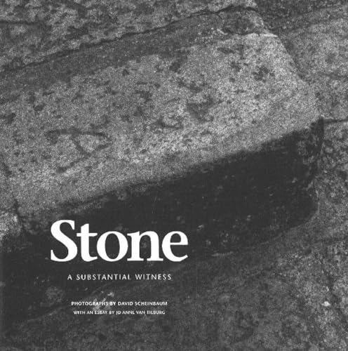 Imagen de archivo de Stone: A Substantial Witness a la venta por Powell's Bookstores Chicago, ABAA