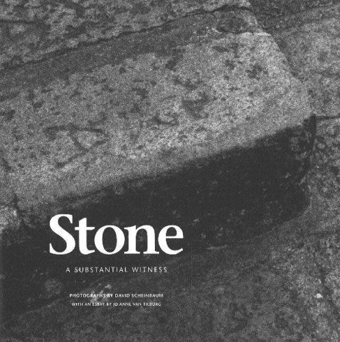 9780890134948: Stone: A Substantial Witness