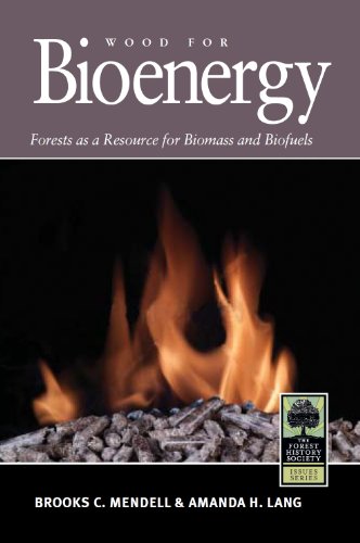 Stock image for Wood for Bioenergy: Forests as a Resource for Biomass and Biofuels for sale by ThriftBooks-Atlanta