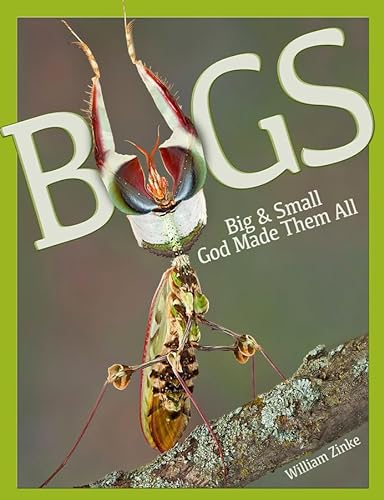 Imagen de archivo de Bugs Big & Small: God Made Them All a la venta por Russell Books