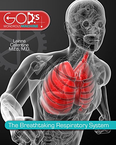 Stock image for Breathtaking Respiratory System (God's Wondrous Machine) for sale by HPB-Red