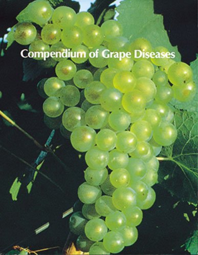 Imagen de archivo de Compendium Of Grape Diseases. a la venta por Orrin Schwab Books