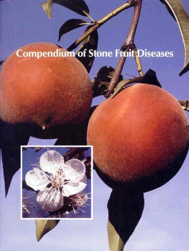 9780890541746: Compendium of Stone Fruit Diseases (Disease Compendium Series)