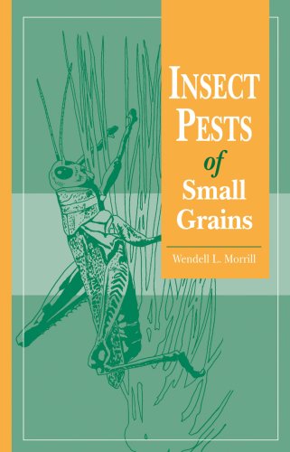 Beispielbild fr Insect Pests of Small Grains zum Verkauf von Better World Books Ltd