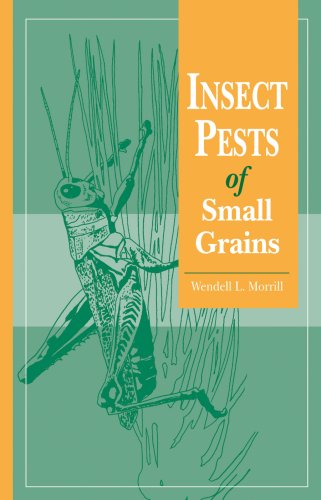 Stock image for Insect Pests of Small Grains for sale by Better World Books Ltd