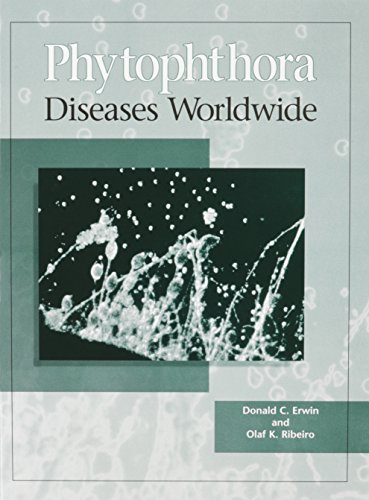 9780890542125: Phytophthora Diseases Worldwide