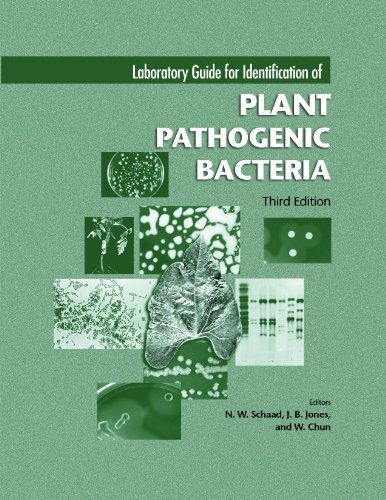 Stock image for Laboratory Guide for Identification of Plant Pathogenic Bacteria for sale by HPB-Red