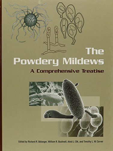 Imagen de archivo de The Powdery Mildews, a Comprehensive Treatise a la venta por COLLINS BOOKS