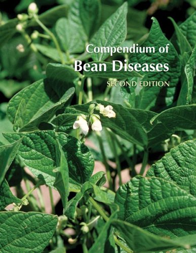 Stock image for Compendium of Bean Diseases, 2nd Edition (Disease Compendium) for sale by Revaluation Books