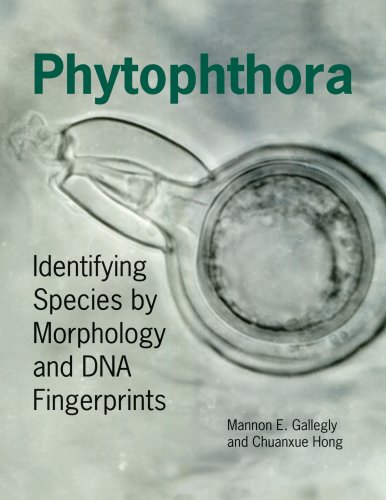 9780890543641: Phytophthora: Identifying Species by Morphology and DNA Fingerprints