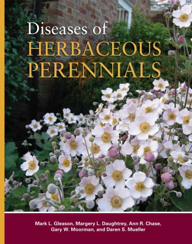 Imagen de archivo de Diseases of Herbaceous Perennials a la venta por HPB-Red