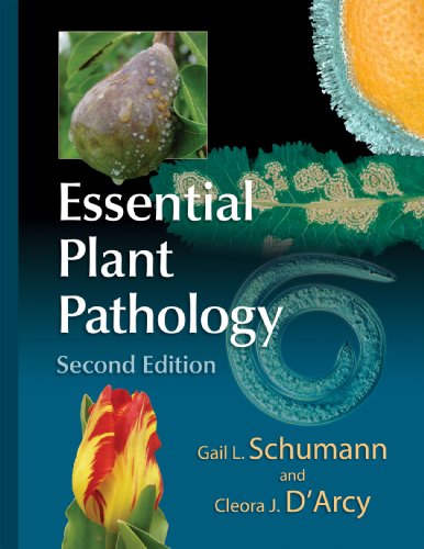 Beispielbild fr Essential Plant Pathology zum Verkauf von BooksRun