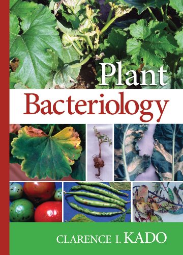 9780890543887: Plant Bacteriology