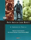 Stock image for North American Labor Markets : A Comparative Profile for sale by Better World Books