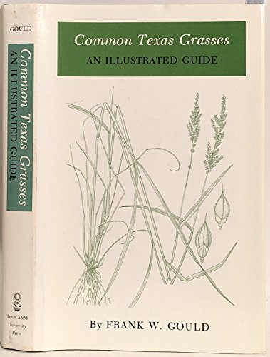 Stock image for Common Texas Grasses: An Illustrated Guide (W. L. Moody, Jr., Natural History (Hardcover)) for sale by Your Online Bookstore