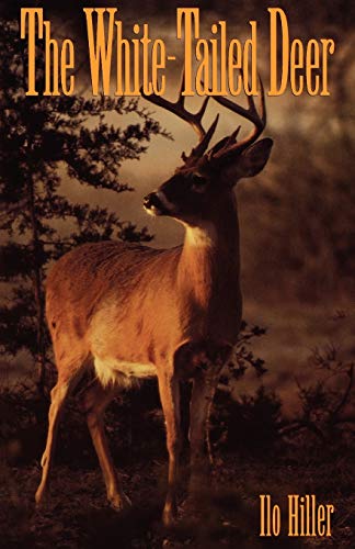 Imagen de archivo de The White-Tailed Deer a la venta por A Good Read, LLC