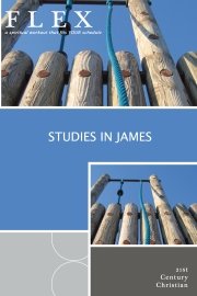Stock image for Studies in James for sale by Red's Corner LLC