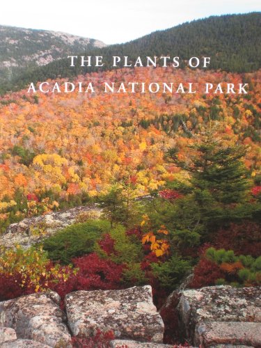 Stock image for The Plants of Acadia National Park for sale by BooksRun