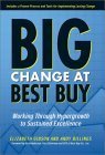 Stock image for Big Change at Best Buy: Working Through Hypergrowth to Sustained Excellence for sale by Open Books
