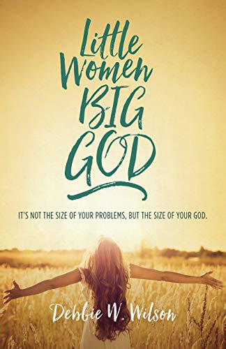 Stock image for Little Women, Big God : The Women in Jesus's Family Line for sale by Better World Books: West