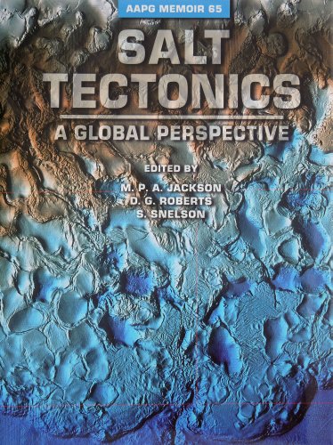 Stock image for Salt Tectonics: A Global Perspective Based on the Hedberg International Research Conference, Bath, U. K., September 1993 (Memoir Series No 65) for sale by HPB-Red