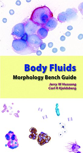 Beispielbild fr Body Fluids Morphology Bench Guide zum Verkauf von Kimmies Collection