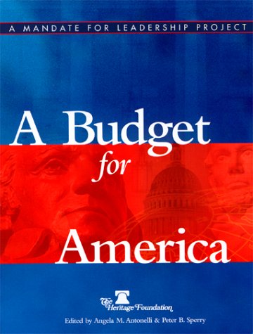Stock image for A Budget for America for sale by Revaluation Books