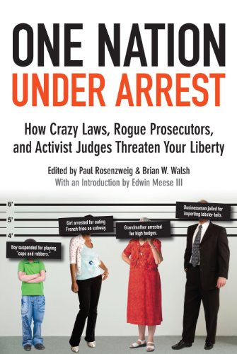 Beispielbild fr One Nation Under Arrest: How Crazy Laws, Rogue Prosecutors, and Activist Judges Threaten Your Liberty zum Verkauf von Goodwill of Colorado