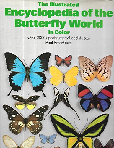 Stock image for Illustrated Encyclopedia of the Butterfly World for sale by HPB-Ruby