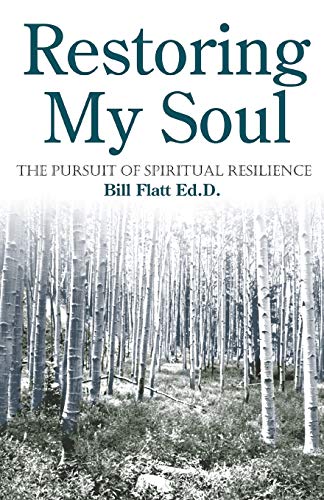 Beispielbild fr Restoring My Soul: The Pursuit of Spiritual Resilience zum Verkauf von medimops