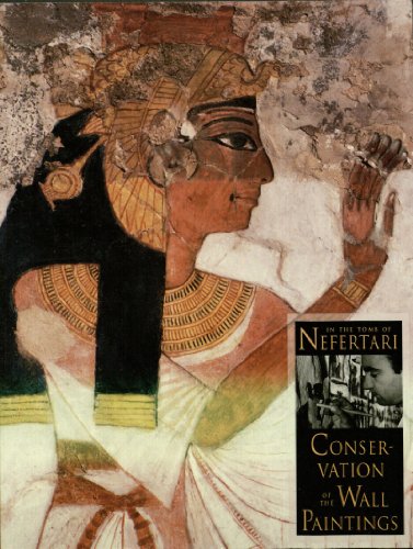 Stock image for In the Tomb of Nefertari : Conservation of the Wall Paintings for sale by Better World Books: West