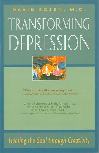 9780892540617: Transforming Depression: Healing the Soul Through Creativity (Jung on the Hudson Book Series)