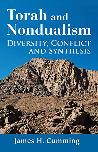 Imagen de archivo de Torah and Nondualism: Diversity, Conflict, and Synthesis a la venta por ThriftBooks-Atlanta