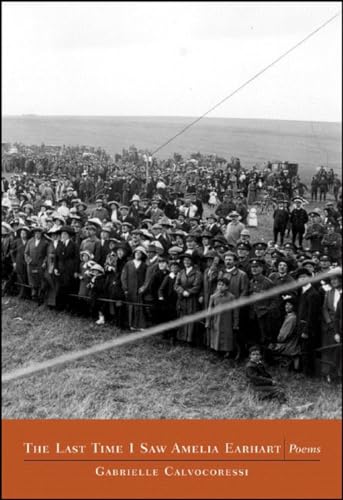 Stock image for The last Time I Saw Amelia Earhart: Poems for sale by Ergodebooks