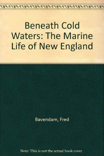 9780892720682: Beneath Cold Waters: The Marine Life of New England