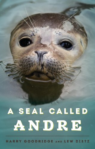 Imagen de archivo de A Seal Called Andre : The Two Worlds of a Maine Harbor Seal a la venta por The Warm Springs Book Company