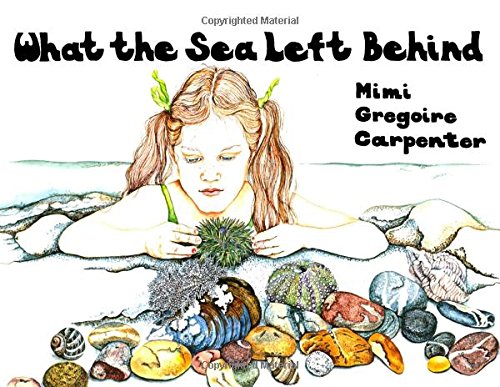 Stock image for What the Sea Left Behind for sale by Better World Books