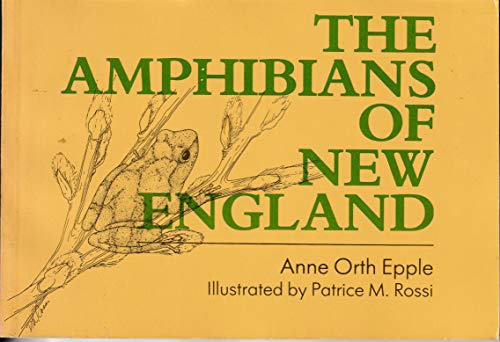 Stock image for THE AMPHIBIANS OF NEW ENGLAND for sale by Artis Books & Antiques