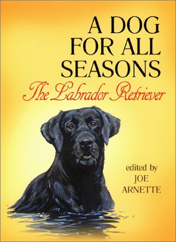 A Dog for All Seasons