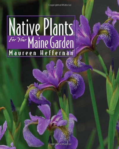 Imagen de archivo de Native Plants for Your Maine Garden a la venta por BooksRun